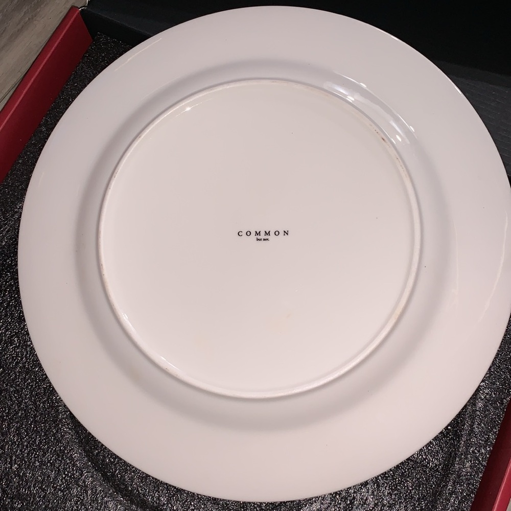6️⃣ Common But Not Dinner Plate NEW - Picture 5 of 7